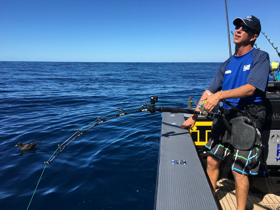 Swordfish The Fishing Website